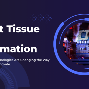 Toilet Tissue production Machine